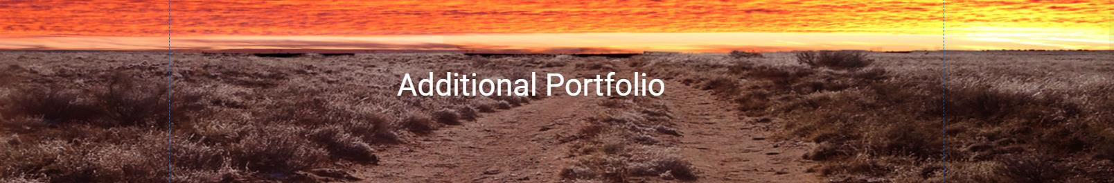 Web portfolios Albuquerque
